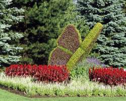 You can also see various figures created with mosaiculture art form in the garden.